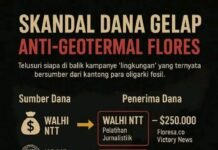 Apakah Floresa dan Lembaga Advokasi Kasus Geotermal di Flores Terima Dana dari “Oligarki Fosil”?