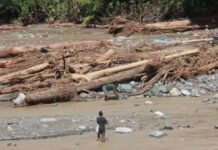 Deforestasi di Balik Bencana Sumatra dan Solidaritas yang Tak Kenal Batas