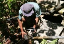 PLN Siapkan Proyek Geotermal Oka Ile Ange di Tengah Gelombang Penolakan yang Meluas di Flores