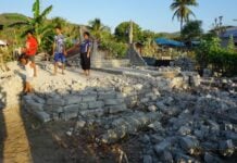 Krisis di Nanga Banda Setelah Gempa Flores